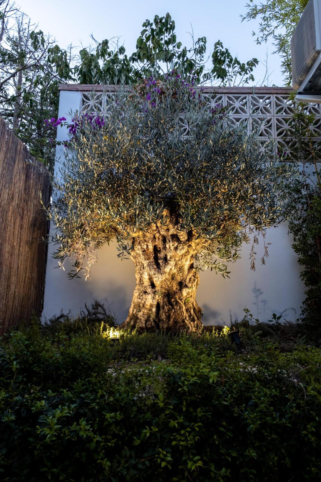 Casa Bodhi Boutique Hotel & Spa マルベーリャ エクステリア 写真